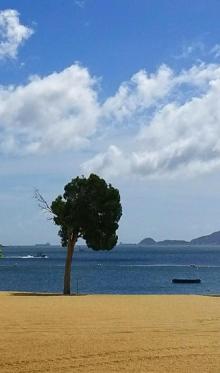 浅水湾15