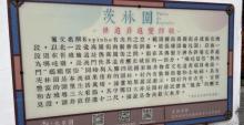 茨林围2