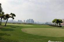 澳TP撒高夫4