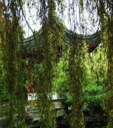 纪念孙中山市政公园3