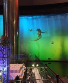 虚拟水族馆2
