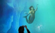 虚拟水族馆1