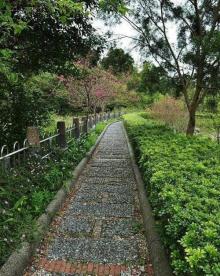 大坑4号步道2