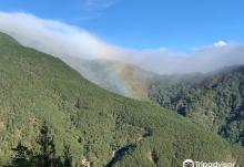 Syue Mountain Trail8