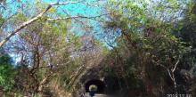 崎顶子母隧道9