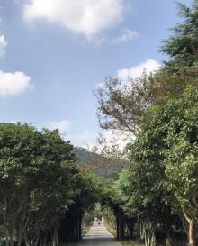 清境高空观景步道7