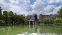 台中都会公园14