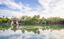 台中都会公园1