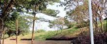 Wen-Xin Forest Park2