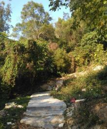 Wen-Xin Forest Park13