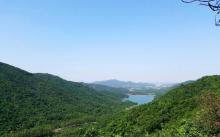 Wen-Xin Forest Park11