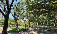 健康公园5