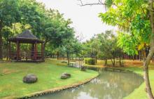 G4旧社公园1