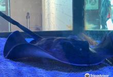 King Car Biotechnology Aquaculture Science Center7