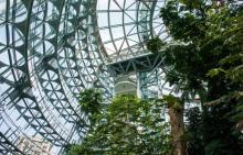 国立自然科学博物馆植物园1