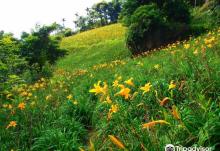 沐心泉休闲农场2