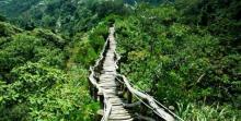 Daken Hiking Trail4