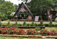 Annie's Garden2