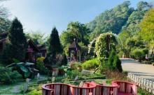 Annie's Garden1