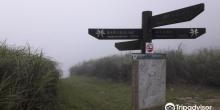 Diaoshan Trail4