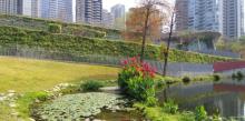 秋红谷景观生态公园5