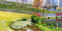 秋红谷景观生态公园17