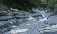 白杨步道2