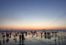 高美湿地23