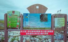 高美湿地8