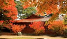 福寿山农场6