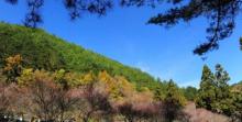 武陵农场14