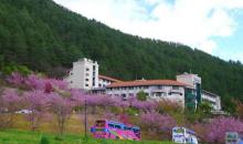武陵农场10