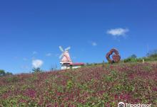 中都爱河湿地公园6