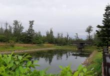 东海湿地公园1