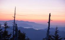 阿里山祝山2