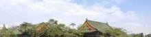 莲池潭9