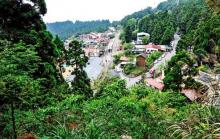 阿里山森林铁路车库园区18