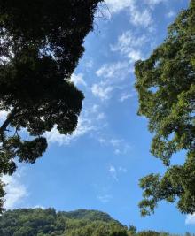 阿里山国家风景区17