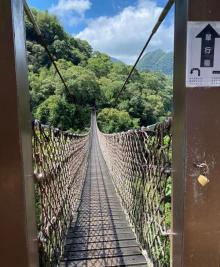 阿里山国家风景区19
