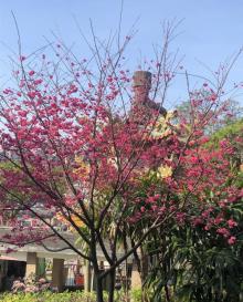 寿山岩观音寺2