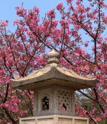 竹林山寺公园26