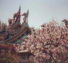 竹林山寺公园7
