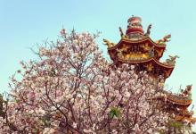 竹林山寺公园13
