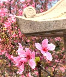 竹林山寺公园10