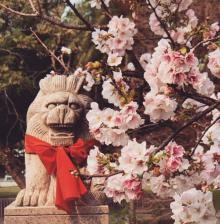 竹林山寺公园12