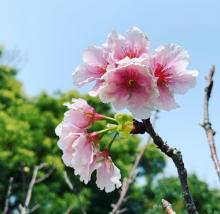 竹林山寺公园1