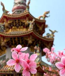 竹林山寺公园22