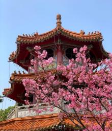 竹林山寺公园4