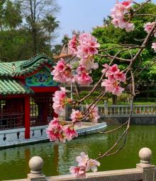 竹林山寺公园2