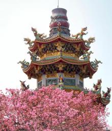 竹林山寺公园20